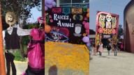 Festival Ánimas y Raíces 2025 en Cuautlancingo ¿Cuándo Inicia Evento por Día de Muertos?