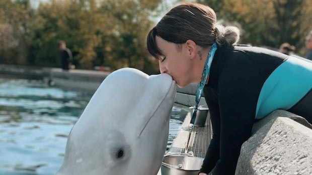 'We need to get them out': Beluga trainer fired by Marineland speaks out