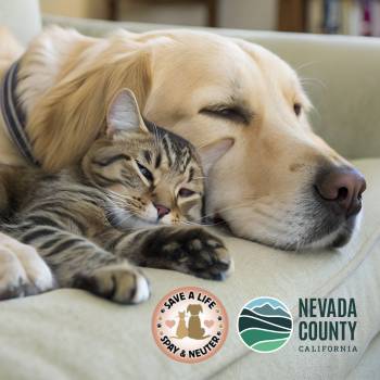 Nevada County Offers Free Spay & Neuter Services in North San Juan Oct. 21
