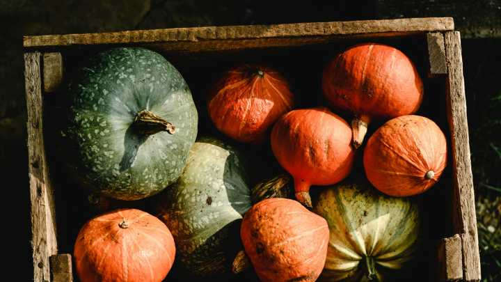 Octubre en el huerto: las frutas y verduras que marcan la temporada