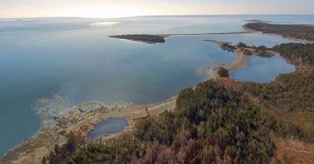 Five things about Nova Scotia's decision to approve Whale Sanctuary Project