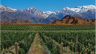 Tres lugares perfectos para celebrar el Día de la Madre con naturaleza y buena comida