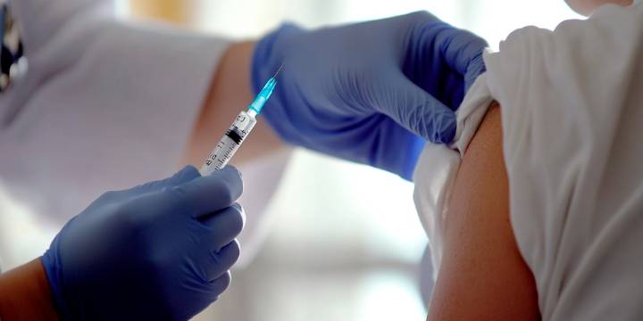 Aumentaron los casos de fiebre amarilla en Latinoamérica: quiénes deben vacunarse en Argentina