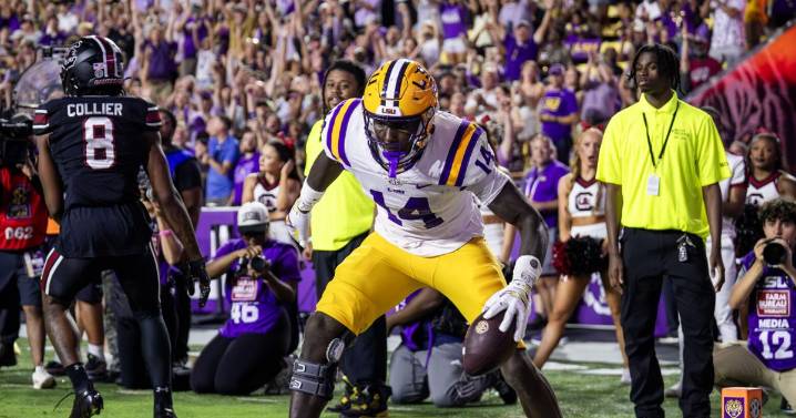 LSU football's Trey'Dez Green shined against South Carolina
