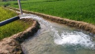 Sambalpur Gets New Lift Irrigation Schemes Worth Rs 211.87 Cr