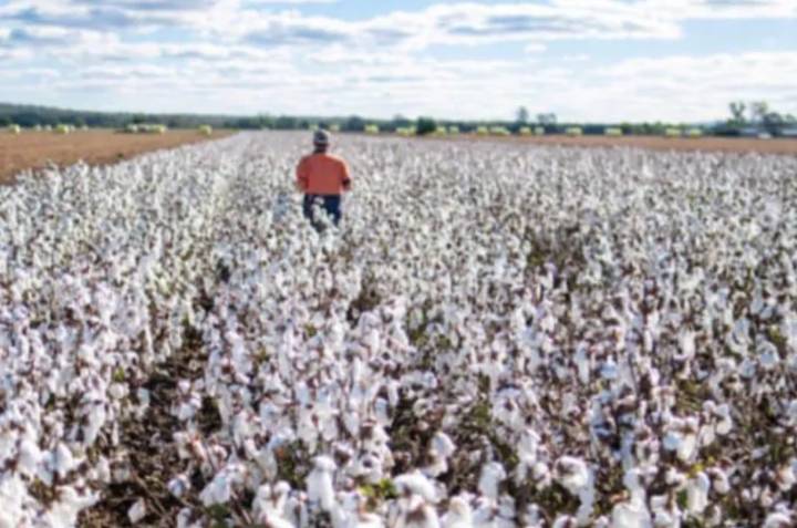 Quimilí: realizan una jornada a campo para productores de la región