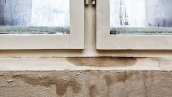 What are the hidden risks of dampness? Experts reveal all and tips to combat them