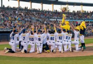 Banana Ball is Coming Back to Nashville