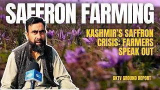 Kashmir’s Saffron crisis; Farmers speak out