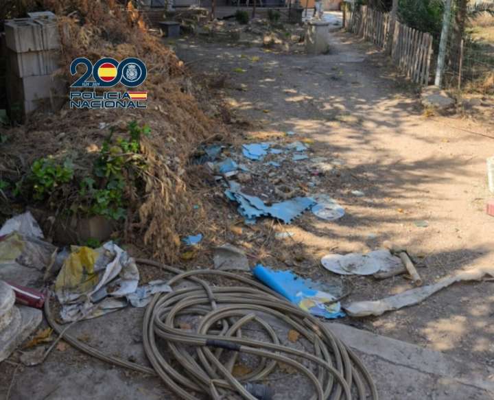 Hallan un perro muerto y otro en estado crítico en Zaragoza: detenida la dueña por maltrato animal