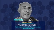 Voto blanco / viciado / conveniencias / inconveniencias