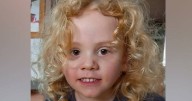 'He has to be somewhere': cop's last hope in boy search