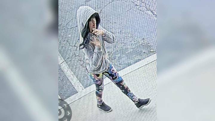 Missing 9-Year-Old California Girl's Appearance Reportedly Altered With Wig