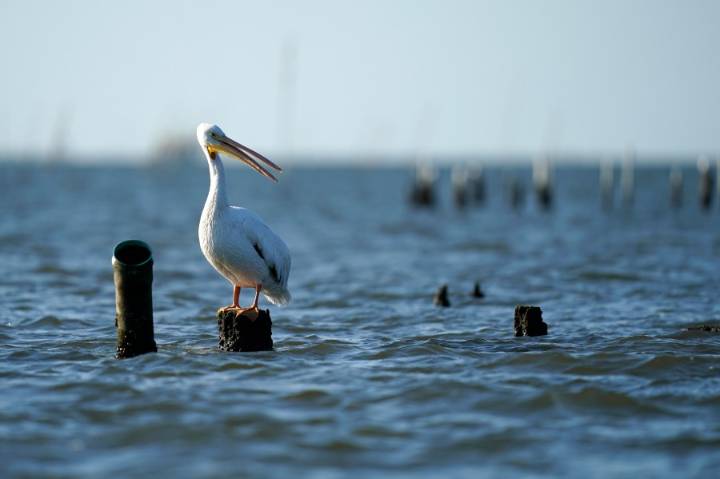 Southeast Louisiana's weather in September was hot, dry: See climate summary