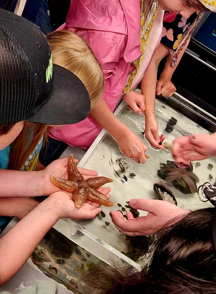 Extension 4-H Science Center to host open house featuring touch tank and hands