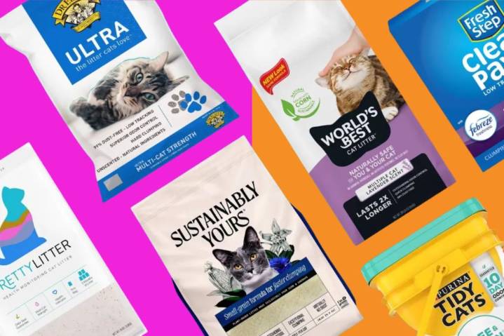 From clumping to flushable — 6 best cat litters of 2025, tested