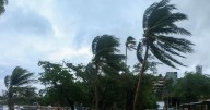 Tormenta tropical ‘Raymond’ se mueve entre Guerrero y Michoacán: ¿Dónde habrá lluvias este fin de semana?