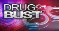 Bledsoe Co. Sheriff’s detectives arrest two people after search at Pikeville Townhouses