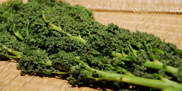 La planta comestible con propiedades curativas que combaten el hígado graso, la artritis y limpian los riñones