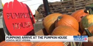 Pumpkins arrive at the Pumpkin House