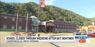 School closes through weekend after bat sightings