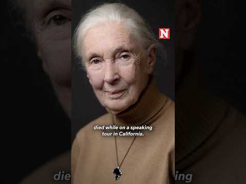 Renowned Conservationist Jane Goodall Dies At 91