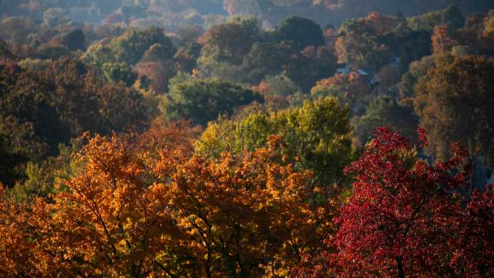 Here are the best times to see fall foliage in across Iowa