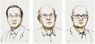 Tres científicos ganan el Nobel de Química por el desarrollo de “estructuras metalorgánicas”