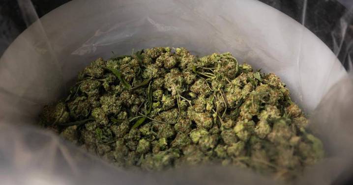 Washington: Are dangerous car crashes being perpetuated by cannabis?