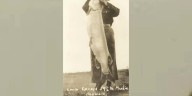 October 20, 1949 - World Record for largest muskie catch