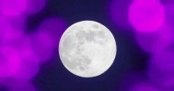Las predicciones con la nueva luna