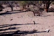 Localizan fosa clandestina en la carretera La Paz