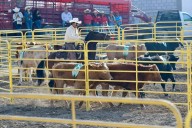 El Ranch Sorting conquista Saltillo con vaqueros de alto nivel en el Rodeo Fest