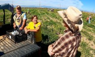 Colorado farming family recognized for blood, sweat and tears