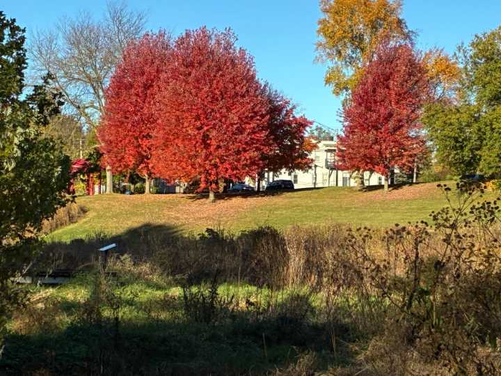 The time is right for sampling Lake County's fall colors