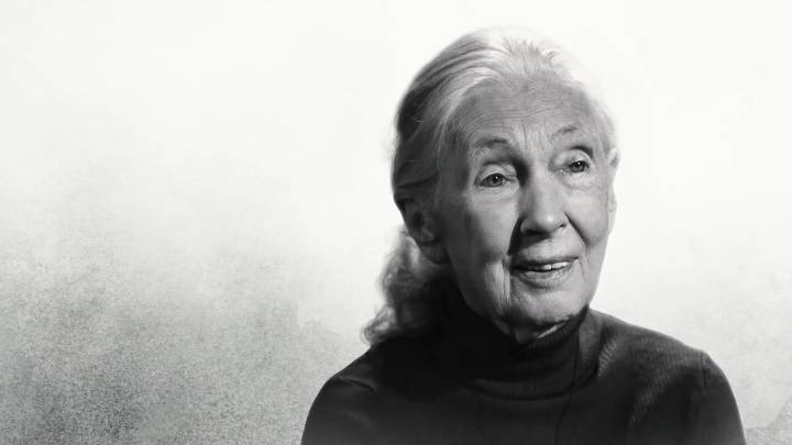 Dr. Jane Goodall Honored In Final Interview on Netflix In 'Famous Last Words' Following Her Death