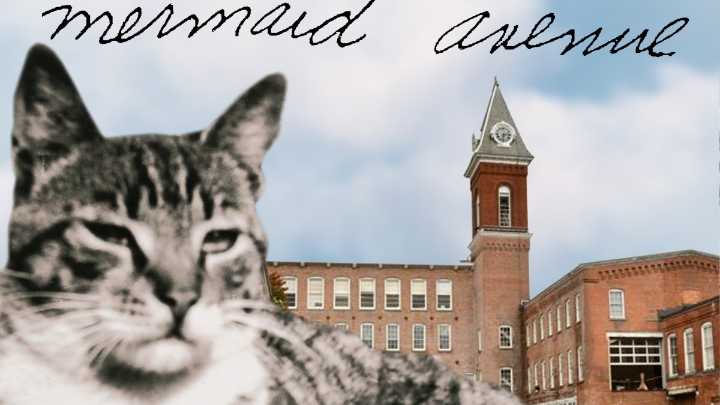 Wilco, Billy Bragg to Perform Mermaid Avenue Live for First Time