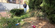 El PSOE denuncia el abandono y la falta de limpieza en los jardines de Granada