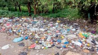 Mumbai: Plastic menace in Aarey; wildlife, forest under severe threat