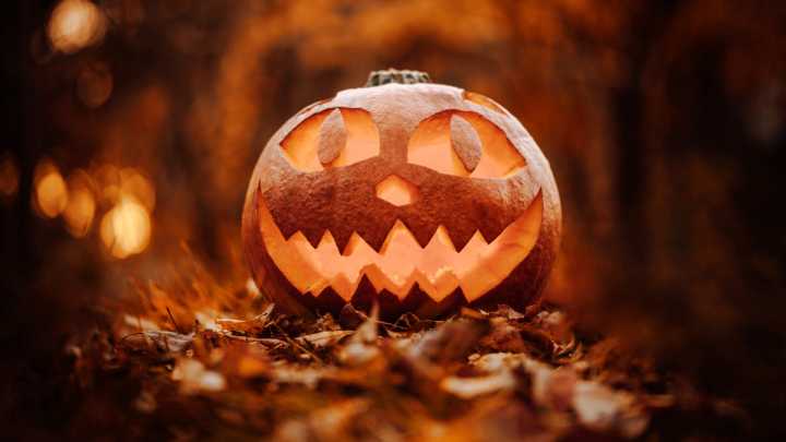 5 rituales poderosos para recibir la luna llena en Tauro del 31 de octubre, ¿cómo afectará a los signos?