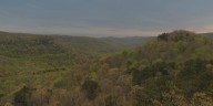 Possible deadly bear attack under investigation in Newton County, Ark.
