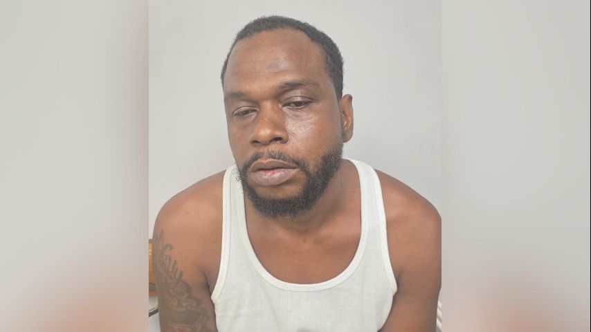 Baldwin man arrested for multiple sex crimes against 10