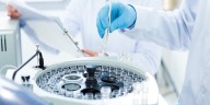 Investigadores ganan el Premio Nobel por descubrir cómo se protege el sistema inmunológico
