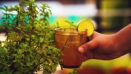 Air Pollution Got You Coughing? This Drink Can Help
