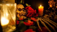 Halloween happenings in metro Atlanta, North Georgia
