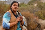Lideresa kumiai denuncia uso de indígenas en conflicto de vendedores en Tecate