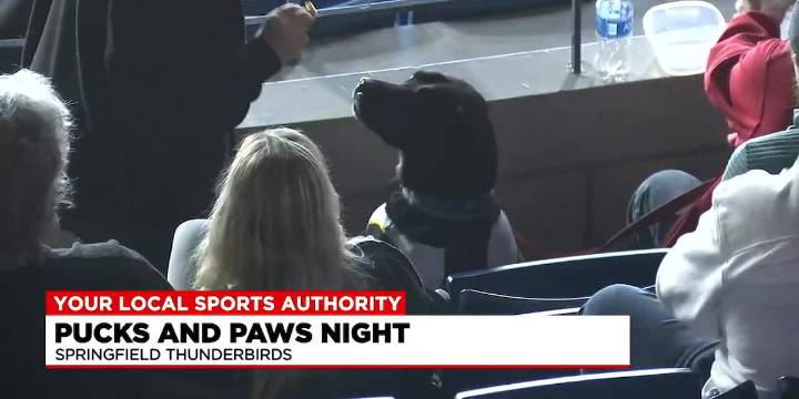 Thunderbirds Pucks and Paws night to benefit TJO