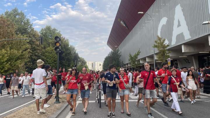 Sheep, soldiers, and grains: Studying the physics of crowds