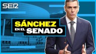 Programa especial | Pedro Sánchez en el Senado: el análisis