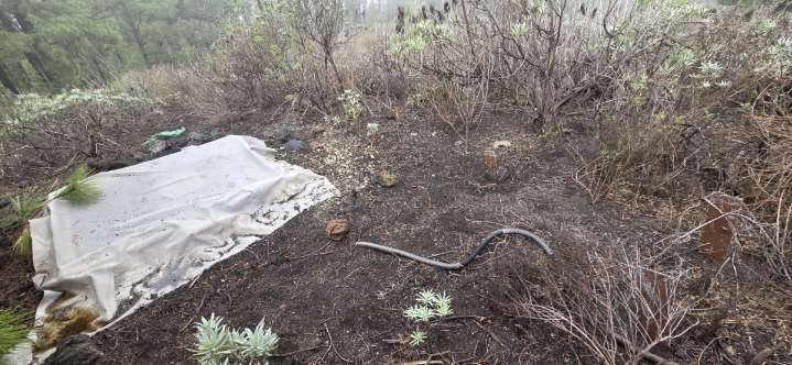 Vandalismo contra la red de vigilancia volcánica en La Palma: “Ponen en riesgo la seguridad de los habitantes”
